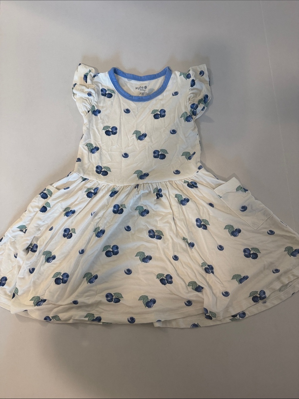 Blueberry Print White Girls' Casual Dress with Blue Trim